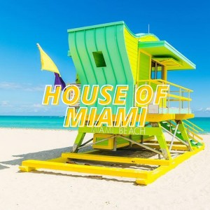 Listen to Quit (Deep Juice Mix) song with lyrics from Frankye Paradise