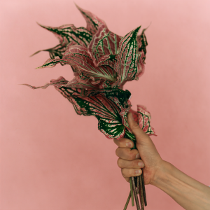 ดาวน์โหลดและฟังเพลง P.S. I Love You พร้อมเนื้อเพลงจาก Hiroji Miyamoto