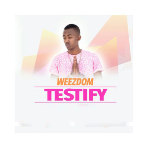 收听Weezdom的Testify歌词歌曲