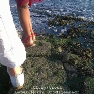 收聽Tichy的Basen Morza Śródziemnego (Explicit)歌詞歌曲