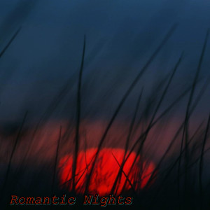 Lofi Radiance的專輯Romantic Nights