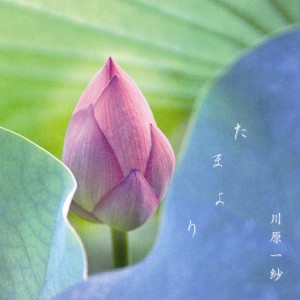 ดาวน์โหลดและฟังเพลง Rain Sound พร้อมเนื้อเพลงจาก Kazusa Kawahara
