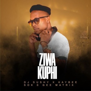 Listen to Ziwa Kuphi song with lyrics from DJ Sushy