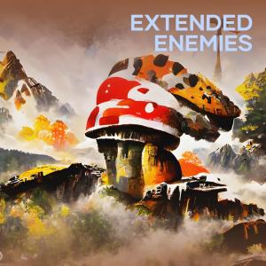 Extended Enemies