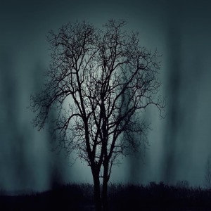 Album Open from Dead5man