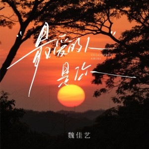Album 最爱的人是你 from 魏佳艺