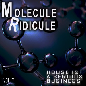 Album Molecule Ridicule, Vol. 7 from Various