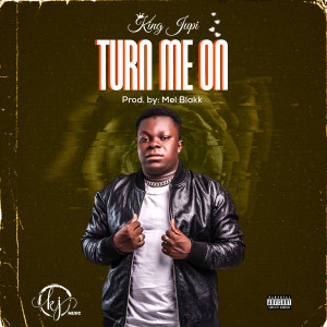 Listen to Turn Me On (Explicit) song with lyrics from King Jupi