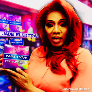 ดาวน์โหลดและฟังเพลง What-Evah! (Erik Elias Mix) พร้อมเนื้อเพลงจาก Jade Elektra