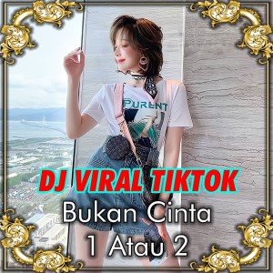 Album DJ Bukan Cerita Cinta 1 atau 2 from Nanda Lia