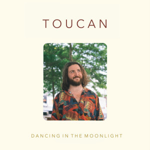 收听Toucan的Dancing in the Moonlight歌词歌曲