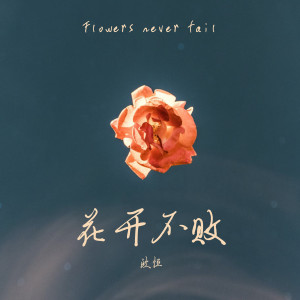 收听歐恆的花开不败歌词歌曲