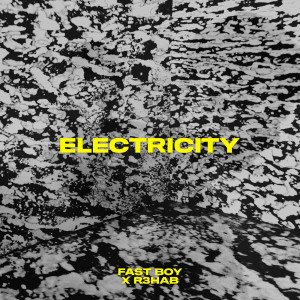 R3hab的專輯Electricity