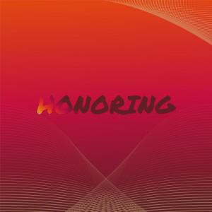 收听Rard Palle的Archivist Cinco歌词歌曲