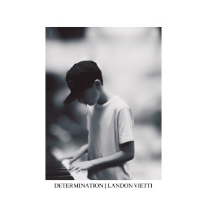 Album Determination from Landon Vietti