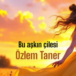 Listen to Bu Aşkın Çilesini song with lyrics from Özlem Taner
