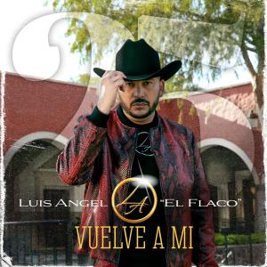 Luis Angel "El Flaco"的專輯Vuelve a Mí