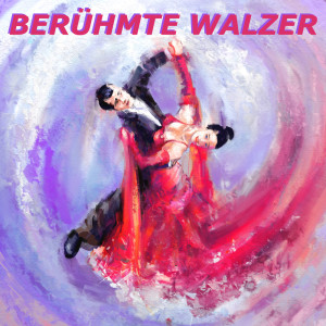 Vienna Walzer Orchestra的專輯Berühmte Walzer