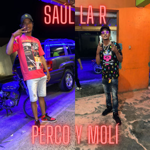 ดาวน์โหลดและฟังเพลง Perco y Molí (Explicit) พร้อมเนื้อเพลงจาก Saul La R