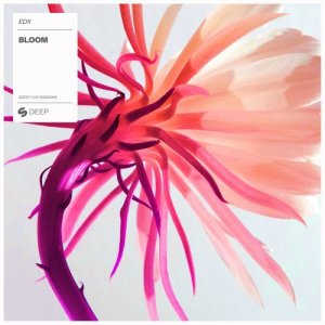ดาวน์โหลดและฟังเพลง Bloom พร้อมเนื้อเพลงจาก EDX