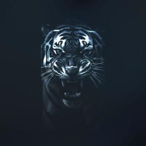 收聽Bandi的Тігири (Explicit)歌詞歌曲