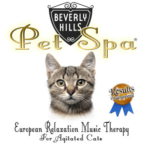 收聽Beverly Hills Pet Spa的Cat Show Trauma Release歌詞歌曲