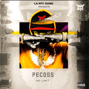 收聽Pecoss的No limite (Explicit)歌詞歌曲