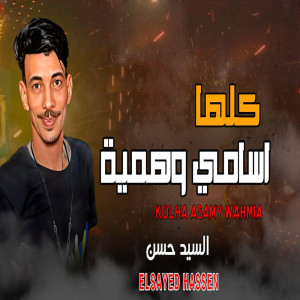 Album كلها اسامى وهمية from السيد حسن