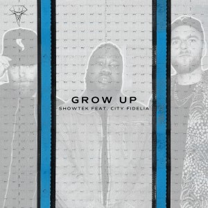 อัลบัม Grow Up ศิลปิน Showtek