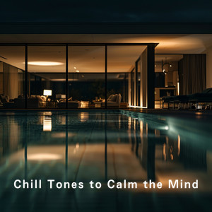 Dengarkan Tranquil Echoes in Solitude lagu dari Relaxing BGM Project dengan lirik