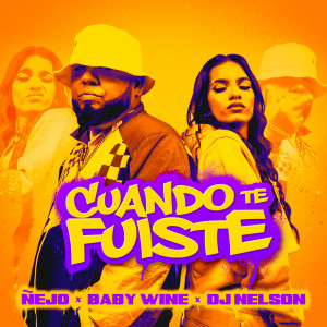 收聽Ñejo的Cuando Te Fuiste歌詞歌曲