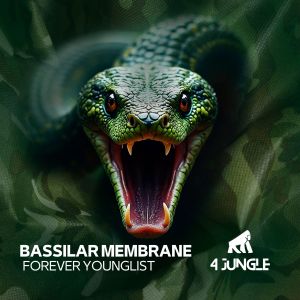 Listen to Forever Younglist song with lyrics from Bassilar Membrane