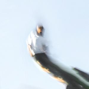 收聽Ryuk的momento (feat. Refo & Yuzh)歌詞歌曲