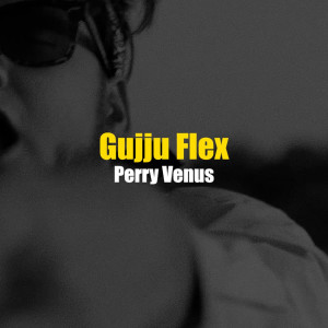 Perry Venus的专辑Gujju Flex (Explicit)