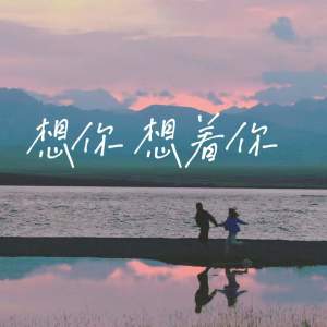 收聽鑫瀚的想你 (想你想着你)歌詞歌曲
