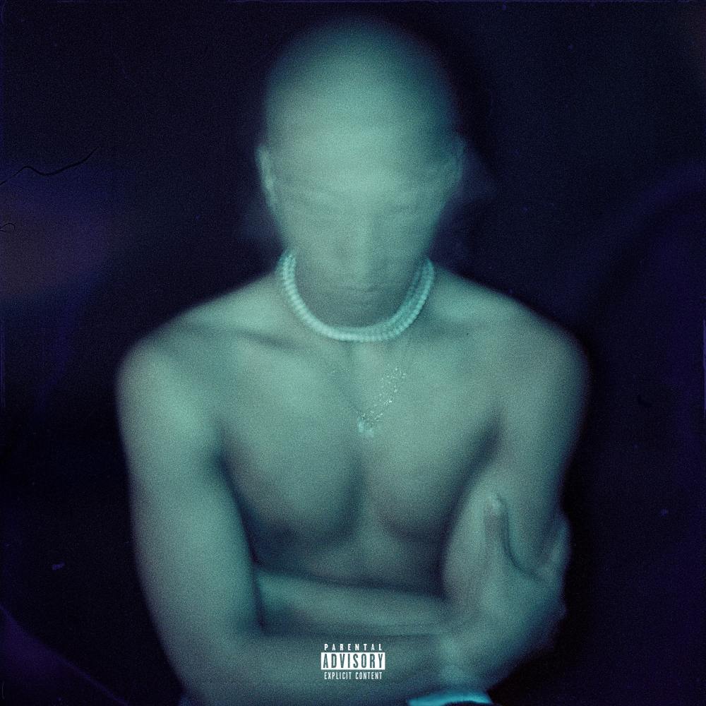 Salamander (Explicit)