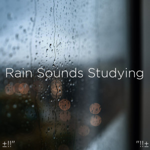 Dengarkan Concentration & Focus Sounds lagu dari Rain Sounds dengan lirik
