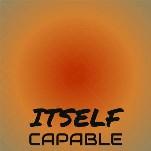 Various Artists的專輯Itself Capable