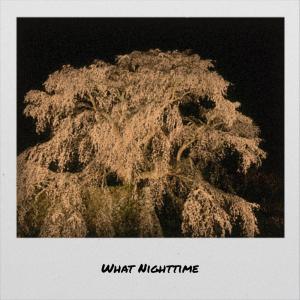 Various的专辑What Nighttime