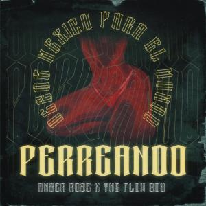 收听Anser Rose的PERREANDO歌词歌曲