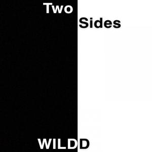 Listen to 2 S/des (Explicit) song with lyrics from Wildd