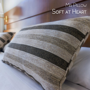 Listen to Bedtime song with lyrics from Mr. Pillow