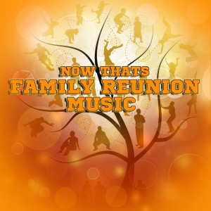 The Family的專輯Now That's Family Reunion Music