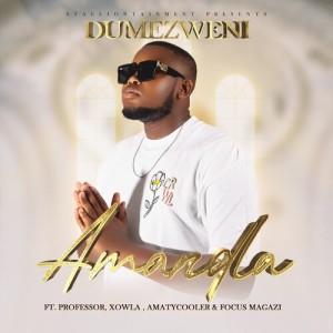 Album Amandla from Dumezweni
