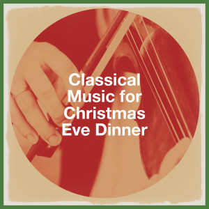 Listen to Concerto Grosso "Christmas Concerto" in G Minor, Op. 6, No. 8: III Adagio song with lyrics from The Christmas Concerto Ensemble