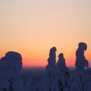 Listen to Empty All The Thoughts In Your Mind song with lyrics from Meditative Yoga Music