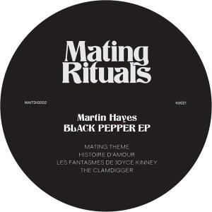 Listen to Mating Theme song with lyrics from Martin Hayes