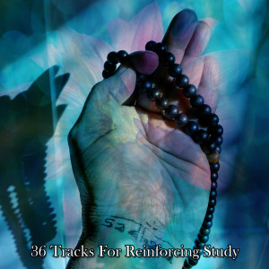 Album 36 Tracks For Reinforcing Study oleh Mindfulness Meditation Universe