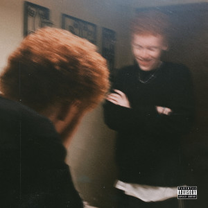 Listen to Confessions of a Reflection (Explicit) song with lyrics from Self Sustained Idiots