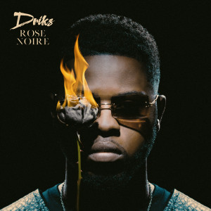 ดาวน์โหลดและฟังเพลง Bad Girl พร้อมเนื้อเพลงจาก Driks